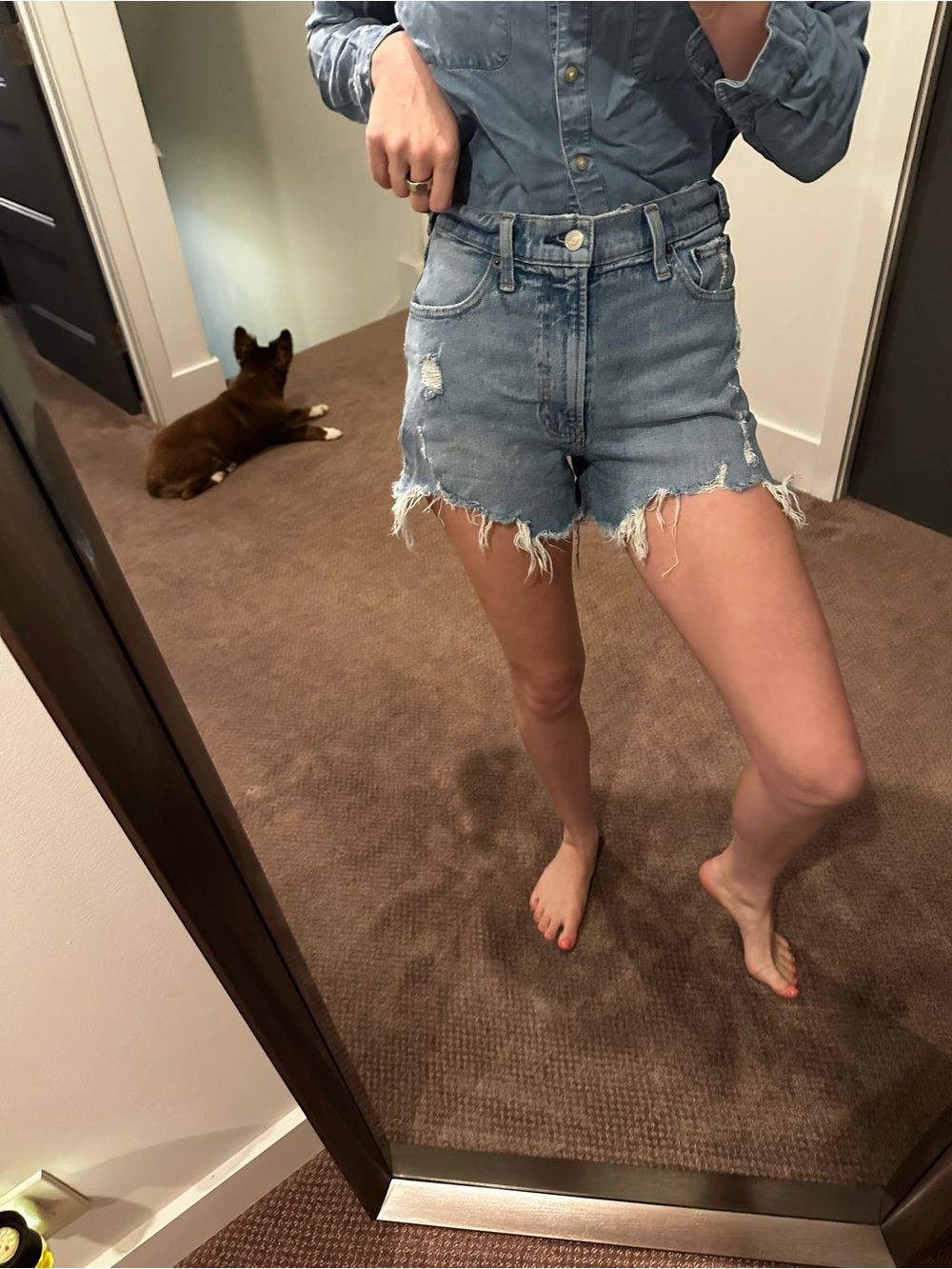 Abercrombie & Fitch Light Blue cut off Denim Shorts